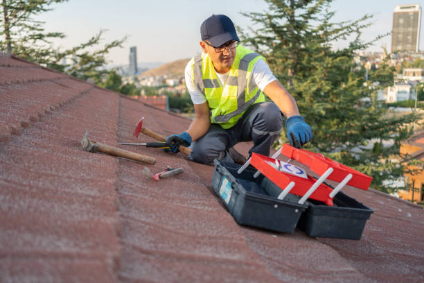 Best Construction Debris Removal  in Glendale, MS